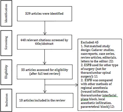 Ultrasound-Guided Erector Spinae Plane Block in Thoracolumbar Spinal Surgery: A Systematic Review and Meta-Analysis